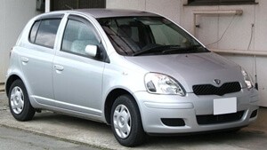 Vitz1